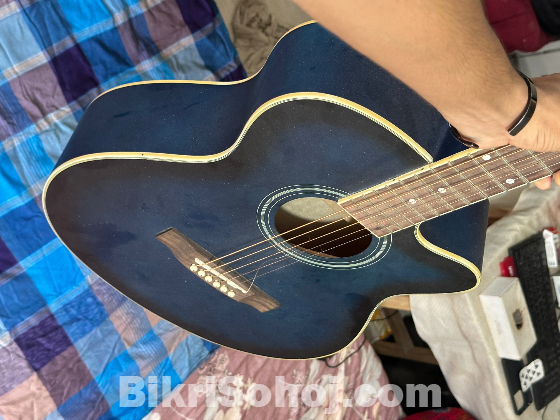 Guitar